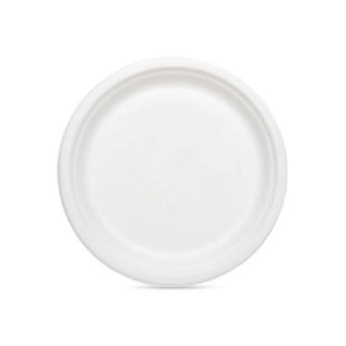 10 Inch Round Plate